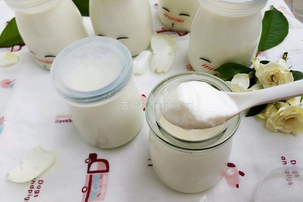 电饭煲自制酸奶的做法图解10