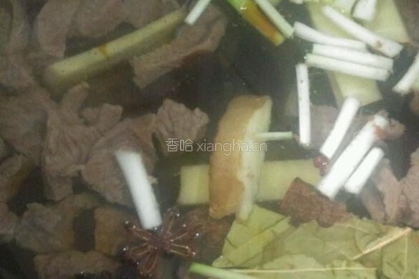 土豆炖牛肉的做法图解5