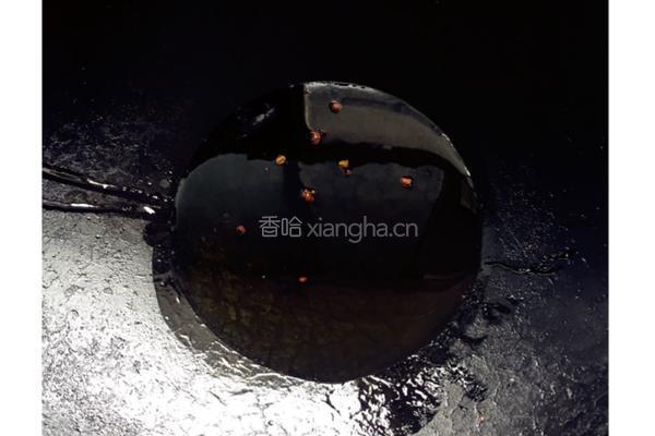 水煮鱼的做法图解4