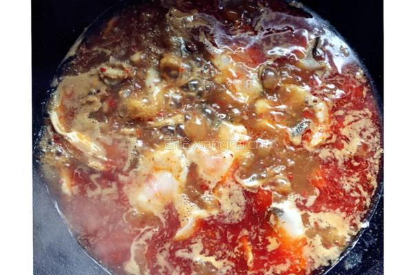 水煮鱼的做法图解10