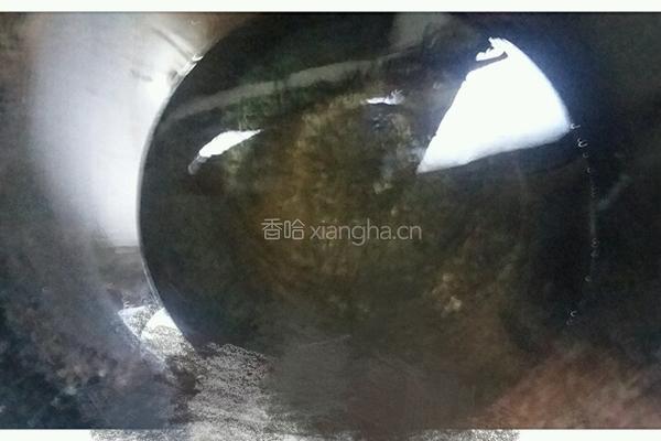 蒜香臭干子的做法图解4