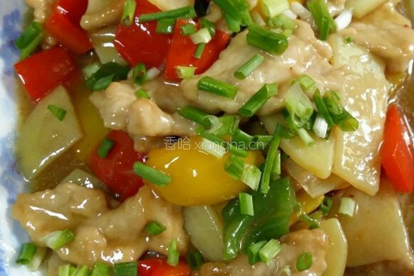彩椒炒肉片的做法图解3
