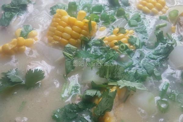 排骨冬瓜玉米汤的做法图解8