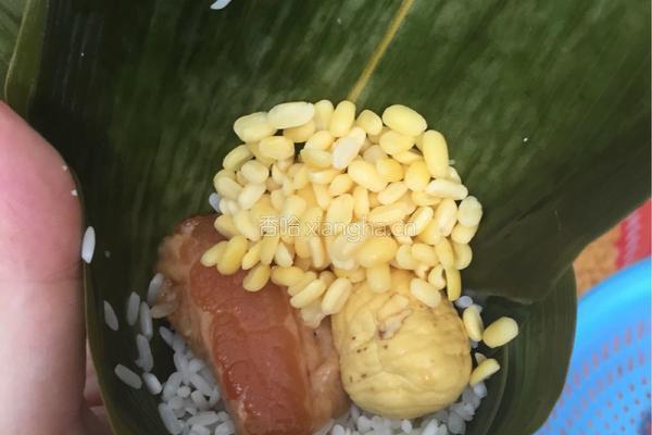 咸蛋肉粽的做法图解10