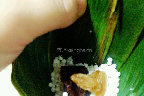 水晶西米粽子的做法图解9