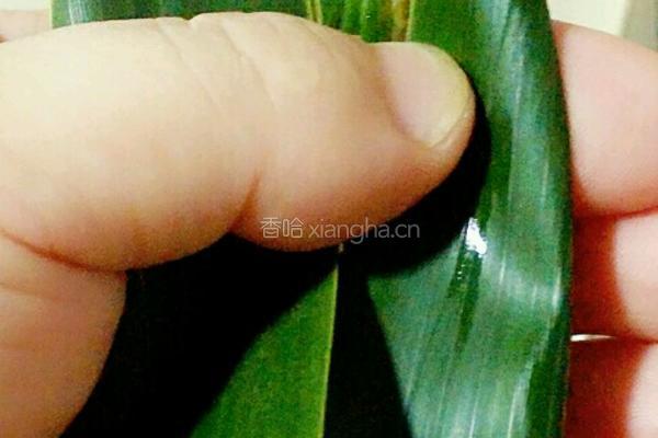 水晶西米粽子的做法图解11