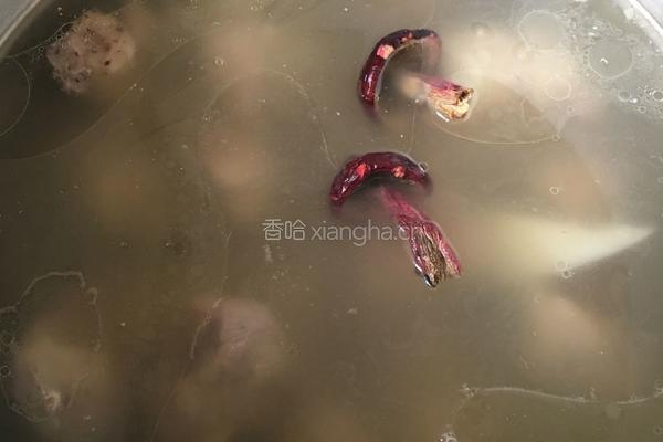 红菇山药龙骨汤的做法图解5