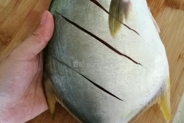 煎金仓鱼的做法图解2
