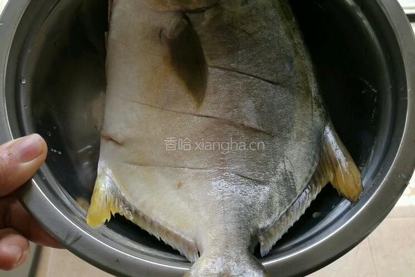 煎金仓鱼的做法图解3