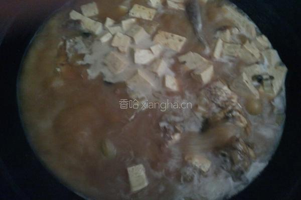 红烧鲫鱼豆腐汤的做法图解6