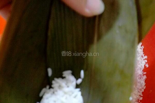 五香咸肉绿豆粽的做法图解6
