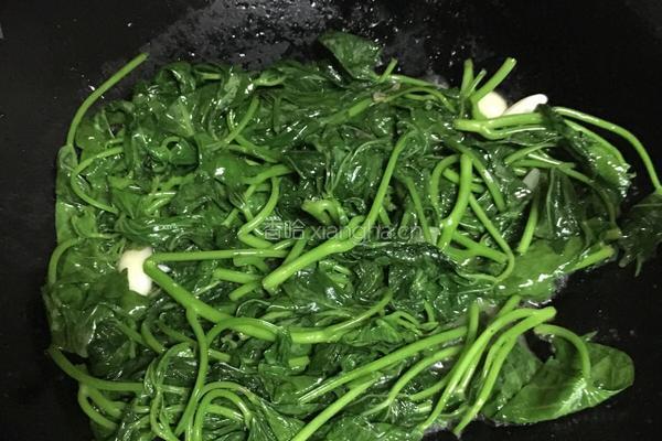 蕃薯叶的做法图解4