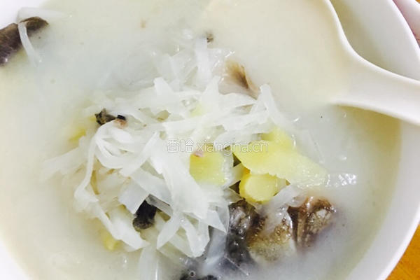 萝卜丝鲫鱼汤的做法图解9