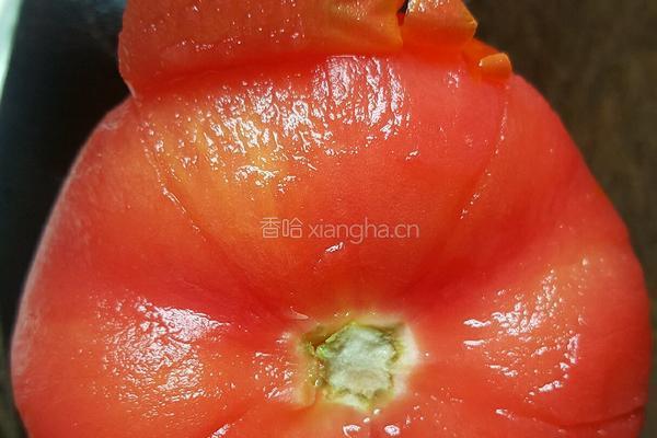 番茄炒鸡蛋的做法图解4