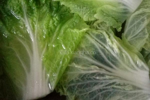 白菜肉卷的做法图解2