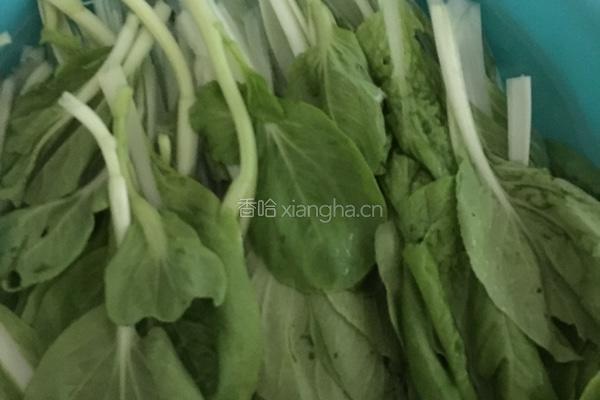 白菜猪肉饺子的做法图解1
