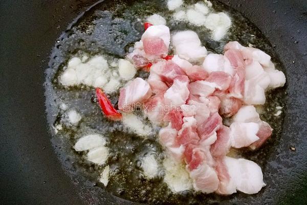 猪肉炖豆角的做法图解5