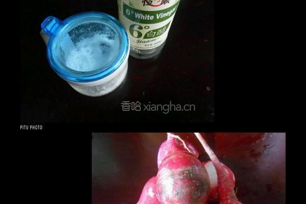 糖醋萝卜花的做法图解1