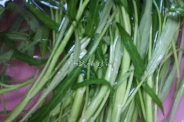 炒空心菜的做法图解1