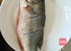 红烧蒜香鲈鱼的做法图解1