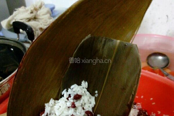 蛋黄五香咸肉粽的做法图解6