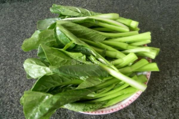 炒菜芯的做法图解1