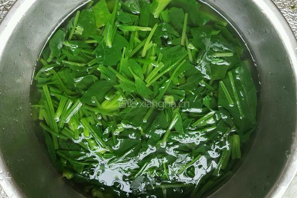 凉拌菠菜的做法图解3