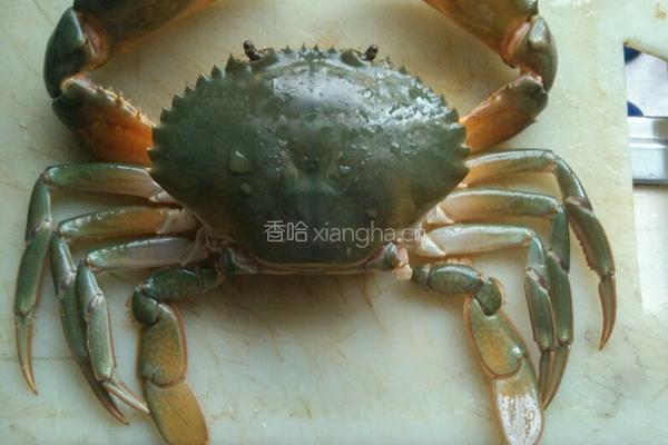 咸蛋黄焗青蟹的做法图解2