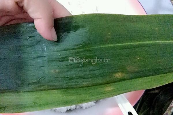 粽叶飘香的做法图解6