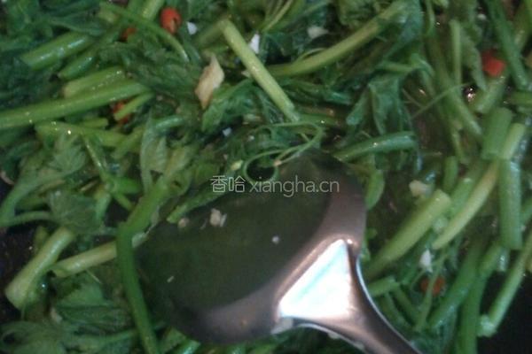 清炒南瓜苗的做法图解3