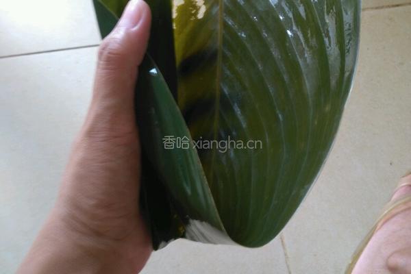 瘦肉粽子的做法图解5