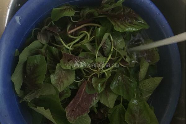 蒜茸红苋菜的做法图解1