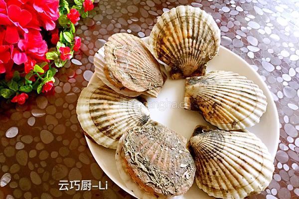 蒜蓉扇贝的做法图解1