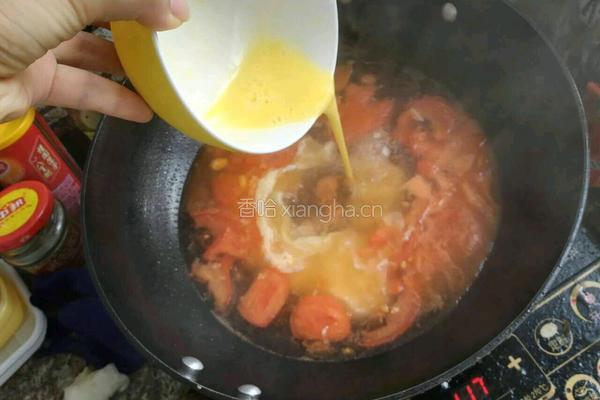 西红柿鸡蛋汤的做法图解9