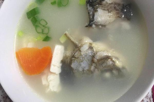鲫鱼豆腐汤的做法图解9