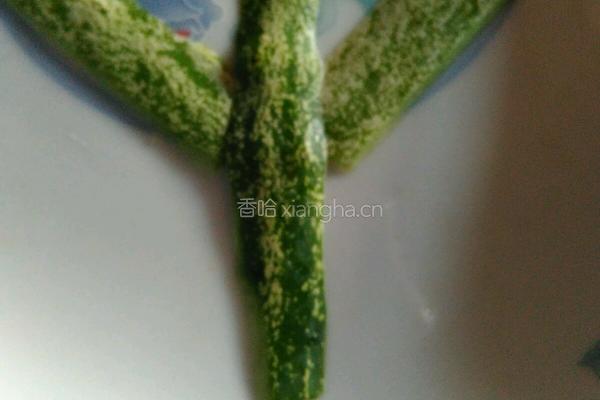 苹果黄瓜胡萝卜的趣味图的做法图解3