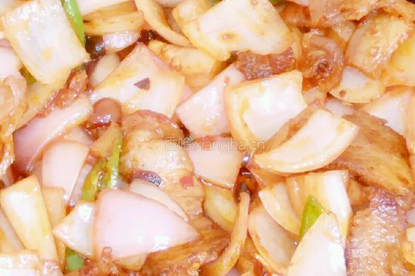 洋葱回锅肉的做法图解4