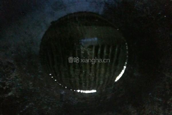 炸猪肉的做法图解6