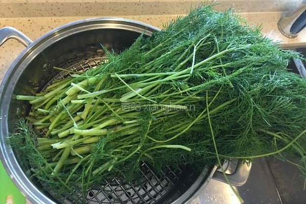 猪肉茴香蒸饺的做法图解2