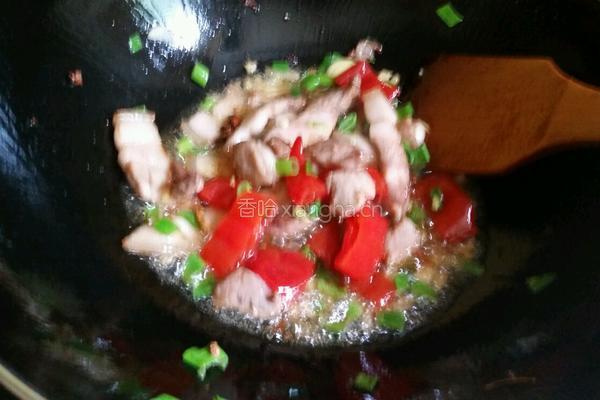 家常猪肉炖豆角的做法图解5