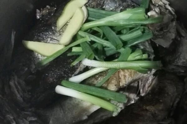 茄汁鱼鲅鱼版的做法图解4