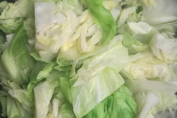 呛拌圆白菜的做法图解4