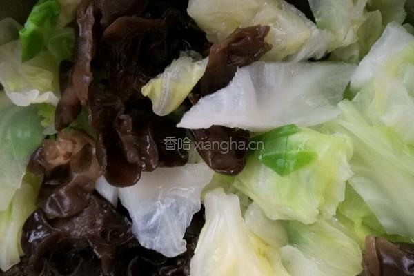 呛拌圆白菜的做法图解5
