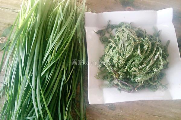 韭菜山野菜(青广东)馅饼的做法图解1