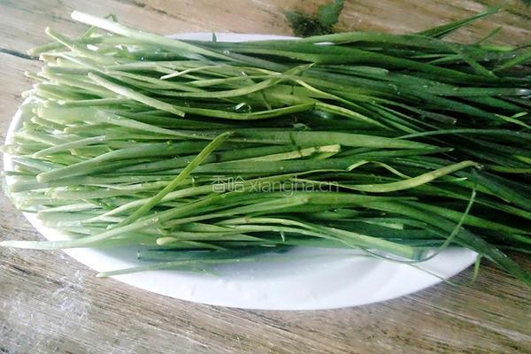 韭菜山野菜(青广东)馅饼的做法图解3