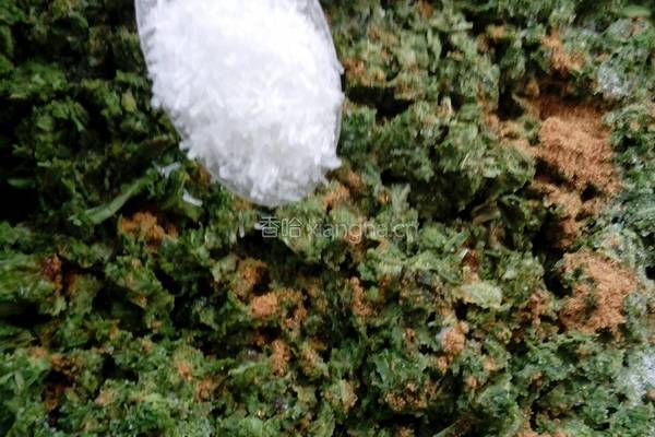 韭菜山野菜(青广东)馅饼的做法图解15