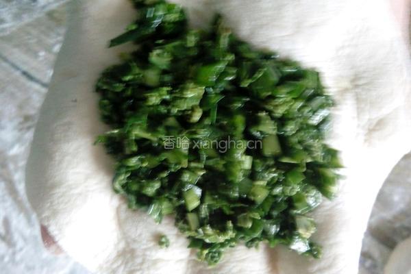 韭菜山野菜(青广东)馅饼的做法图解22