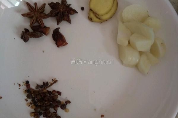 西红柿土豆炖牛肉的做法图解2
