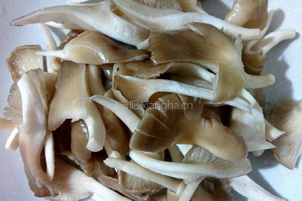 平菇豆腐汤的做法图解1
