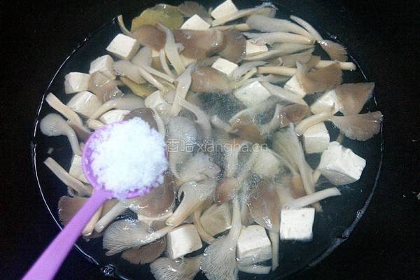 平菇豆腐汤的做法图解5